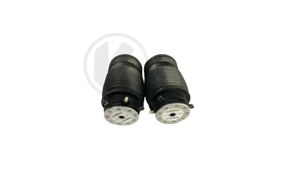 a2053200225 c   air spring   right rear